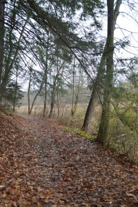 24795474156_e704446970_k