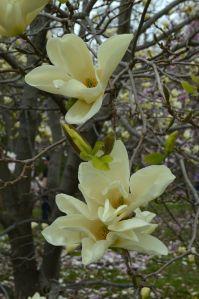 18945003693_9c4976630c_o